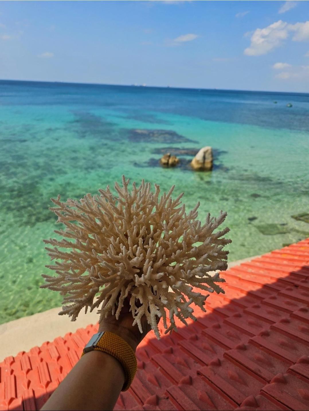 Mui Dinh Hotel Phan Rang Bagian luar foto
