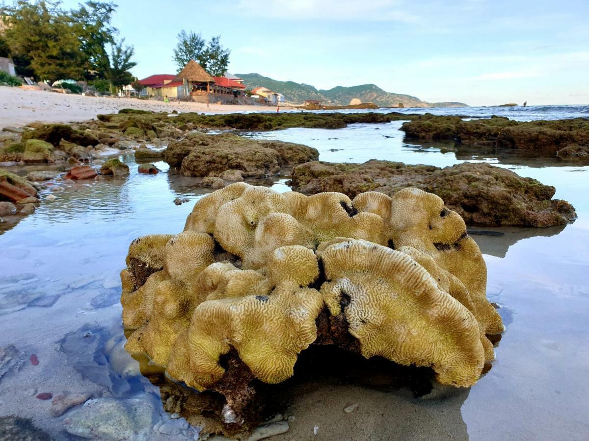 Mui Dinh Hotel Phan Rang Bagian luar foto